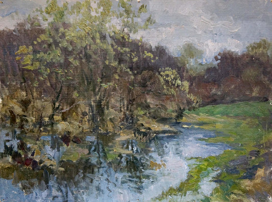Oil painting After the rain Korzh Vladimir Demyanovich
