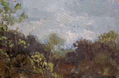 Oil painting After the rain Korzh Vladimir Demyanovich