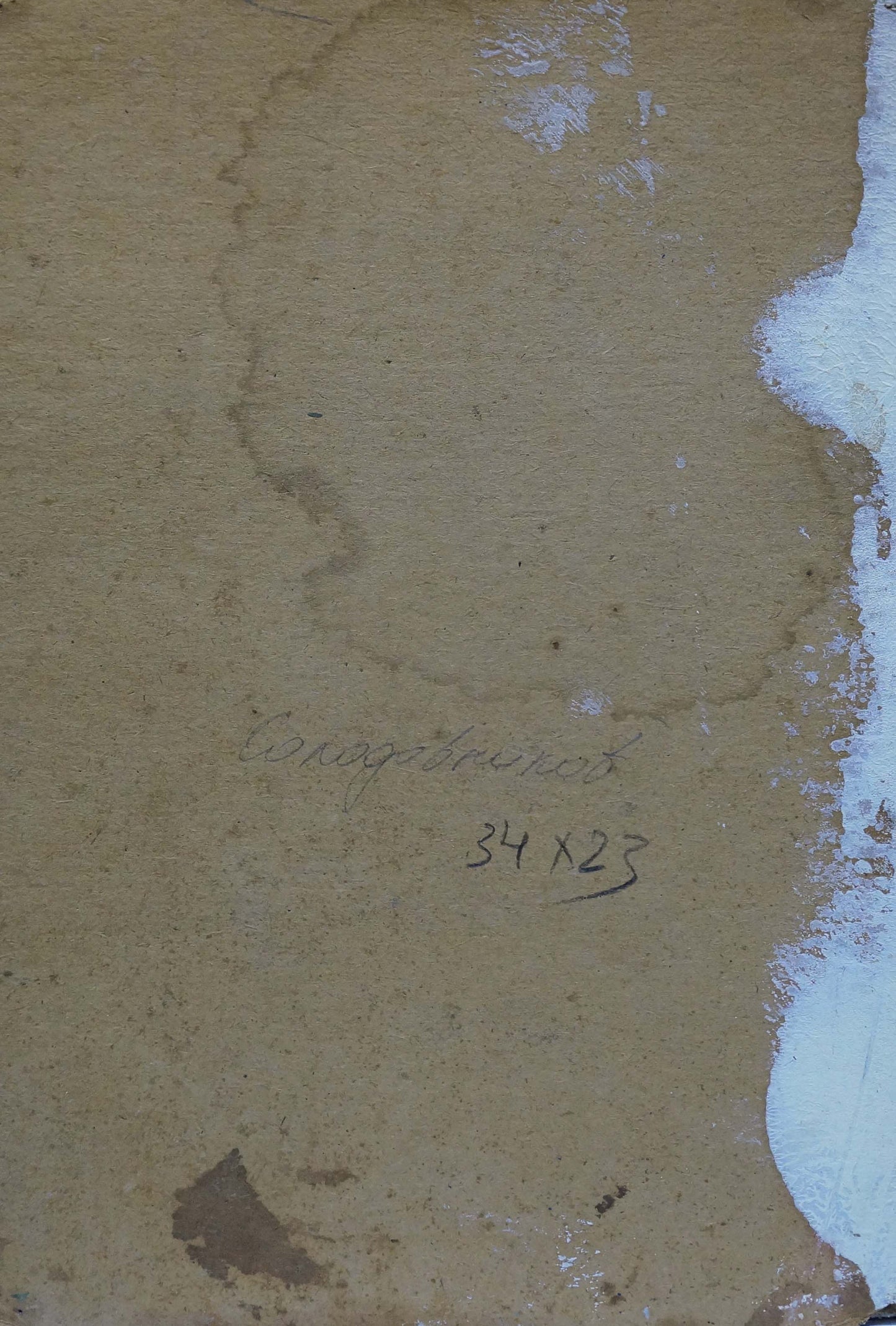 Oil painting Evening in the village Solodovnikov Aleksey Pavlovich