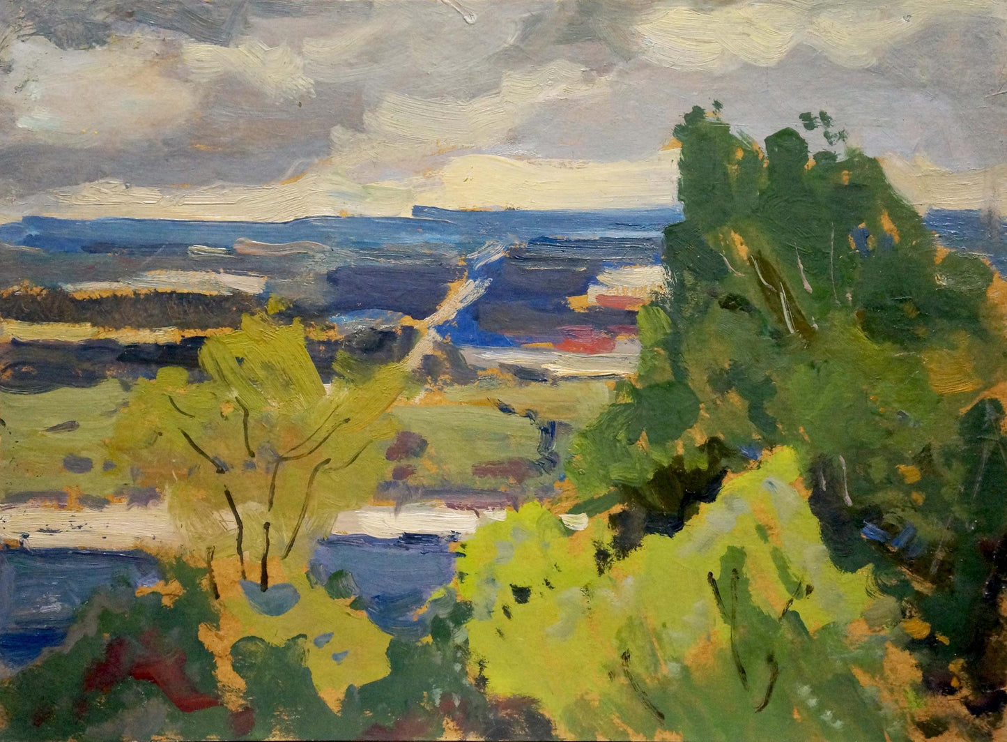 Oil painting Overlooking the village Buryachok Nikolay Ivanovich