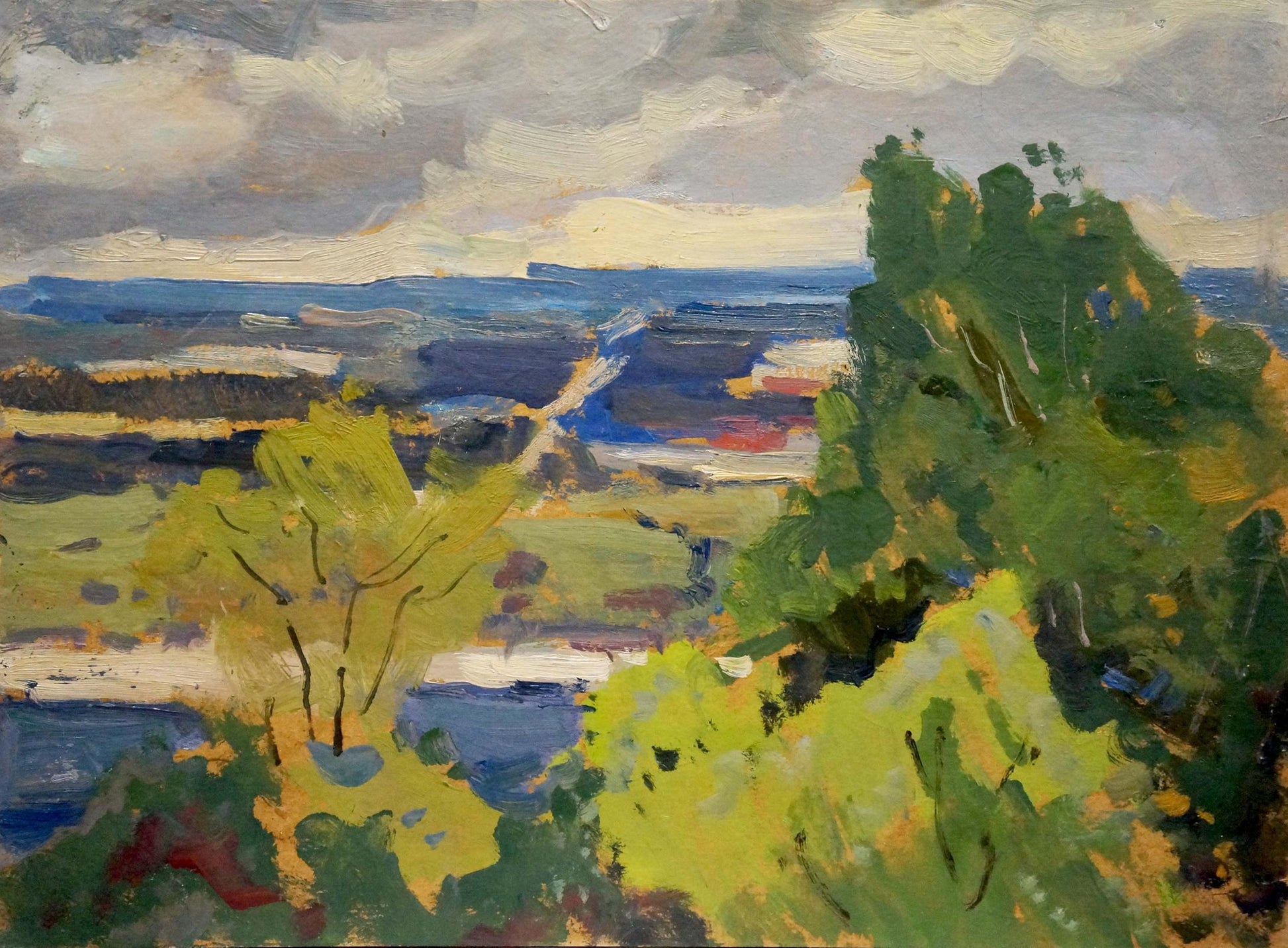 Oil painting Overlooking the village Buryachok Nikolay Ivanovich