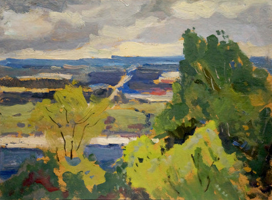 Oil painting Overlooking the village Buryachok Nikolay Ivanovich