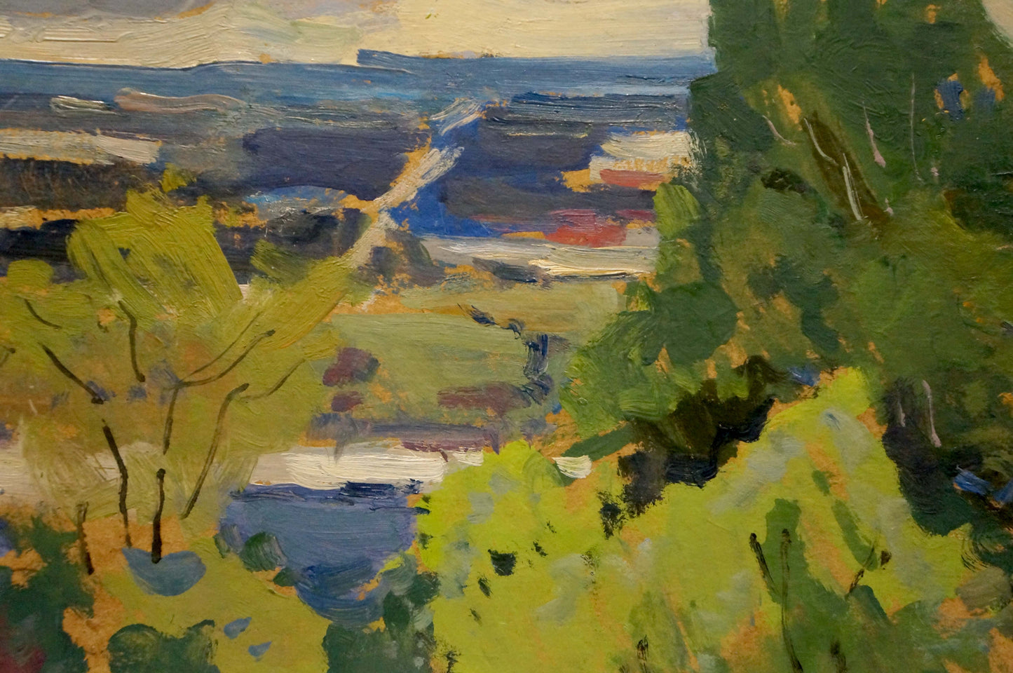 Oil painting The Color of Nature by Mykola Ivanovich Buryachok