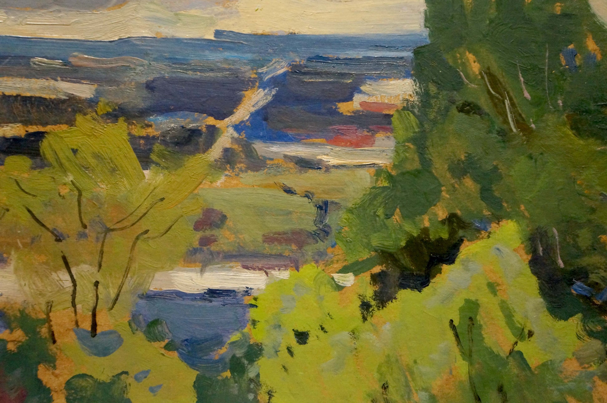 Oil painting The Color of Nature by Mykola Ivanovich Buryachok