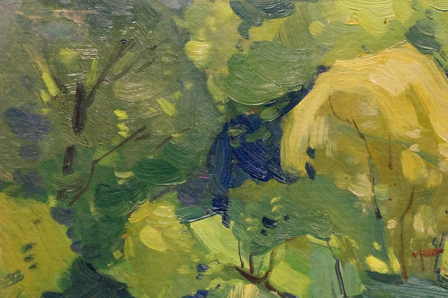 Oil painting Nature Buryachok Nikolay Ivanovich