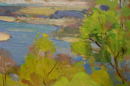 Oil painting River spill in a field Nikolay Buryachok