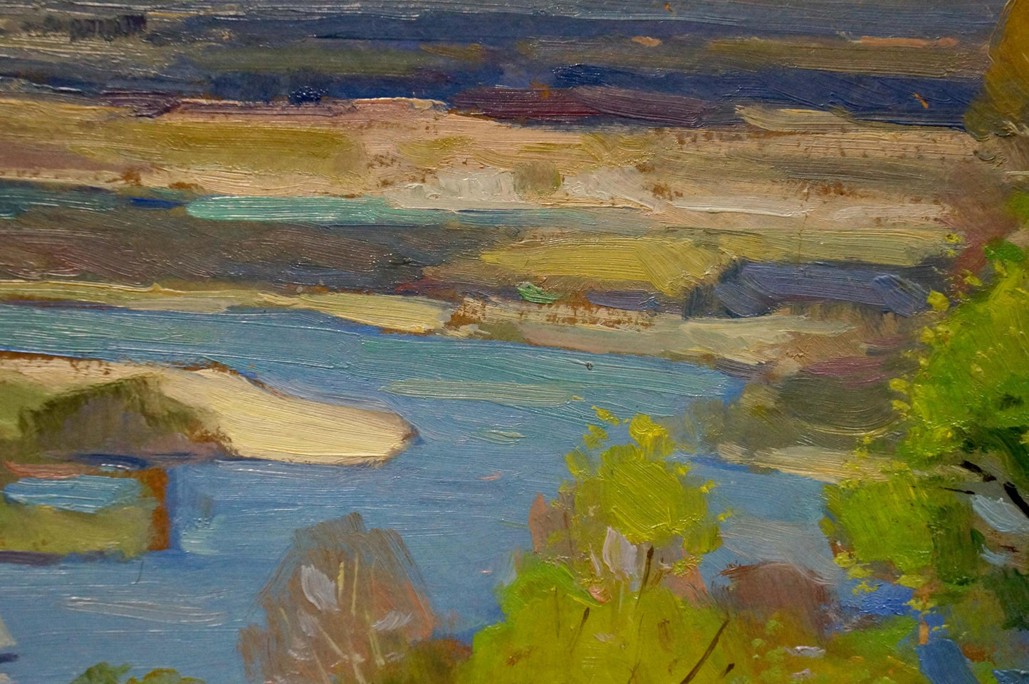 Oil painting River spill in a field Nikolay Buryachok
