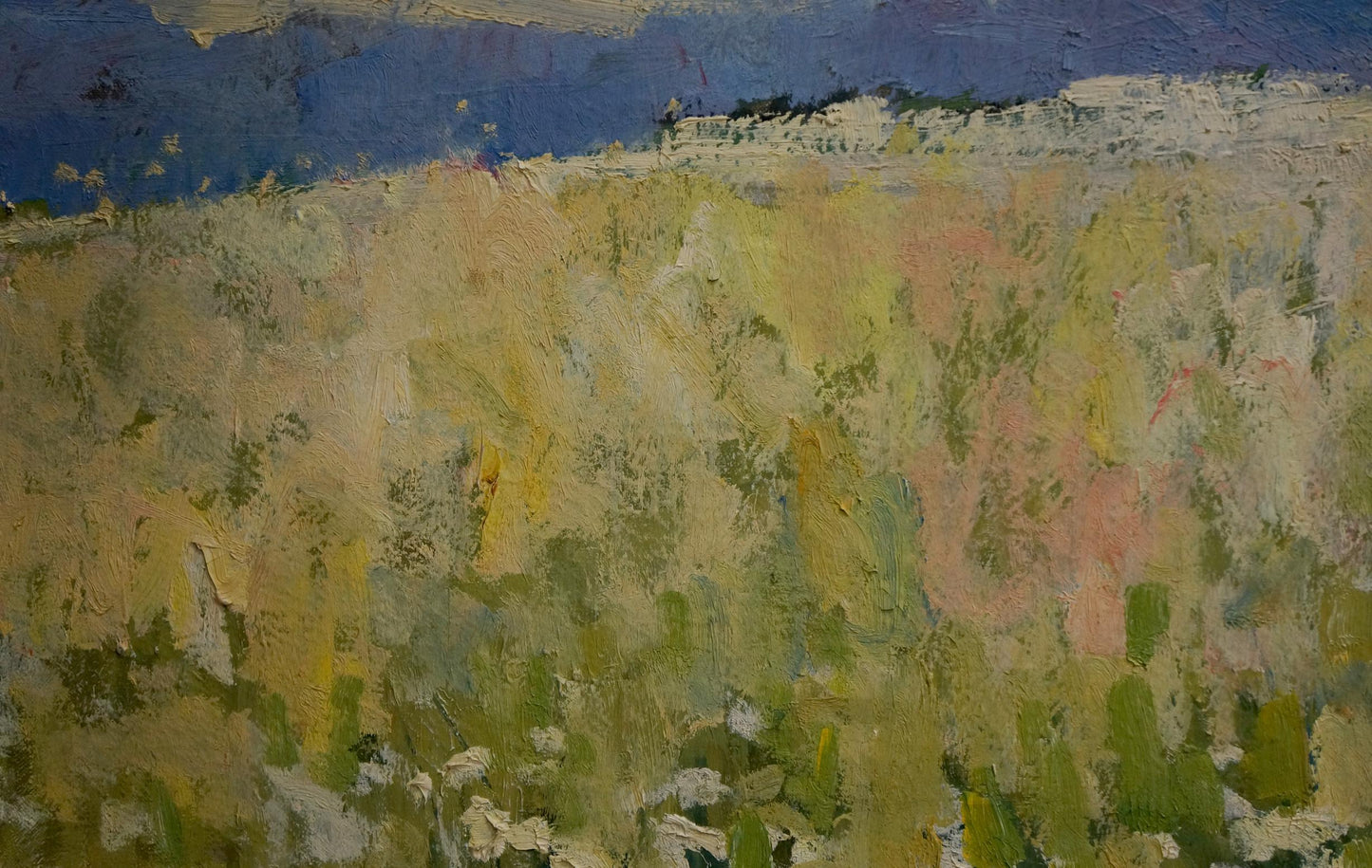 Oil painting Blooming fields