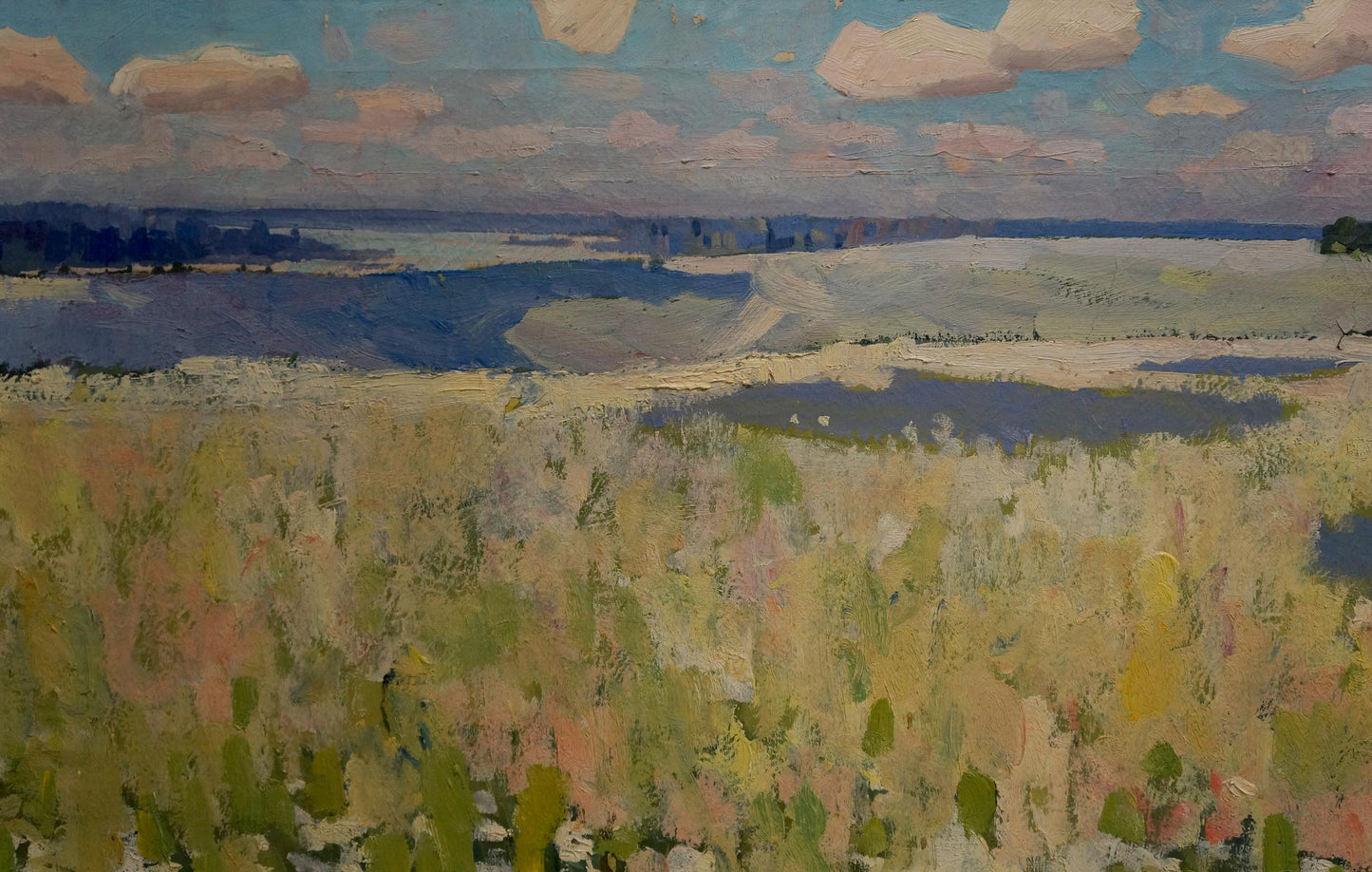 Oil painting Blooming fields