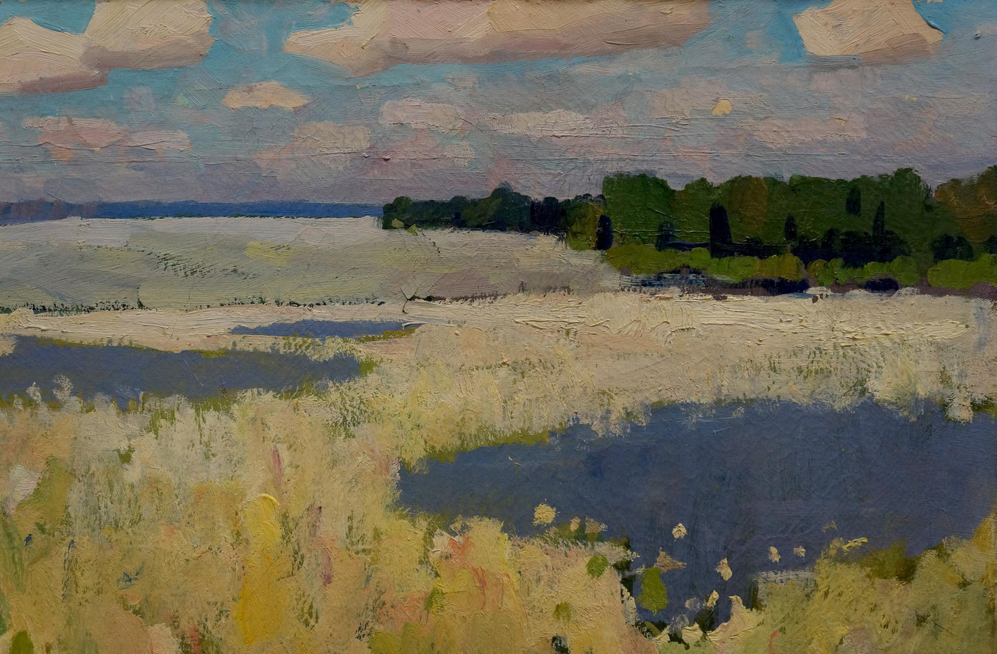 Oil painting Blooming fields