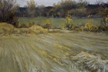 Oil painting Field Chernyshevsky Petr Akimovich