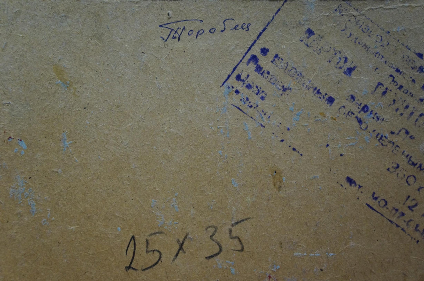 Oil painting Rustic beauty Gorobets Pavel Matveevich