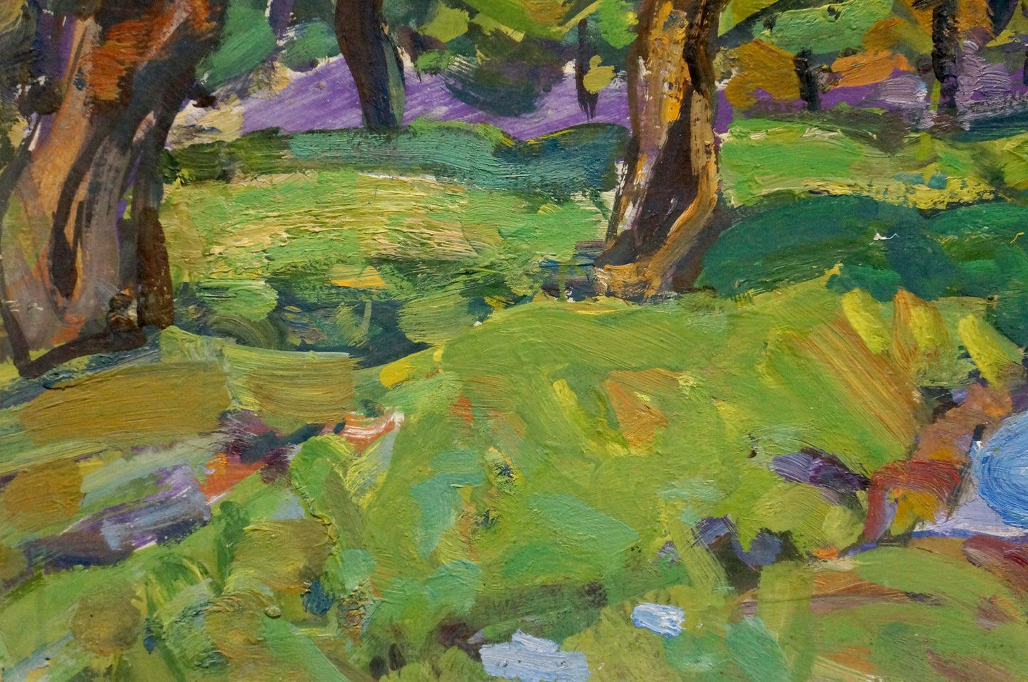 Oil painting The last rays of the sun Gaiduk Viktor Kirillovich