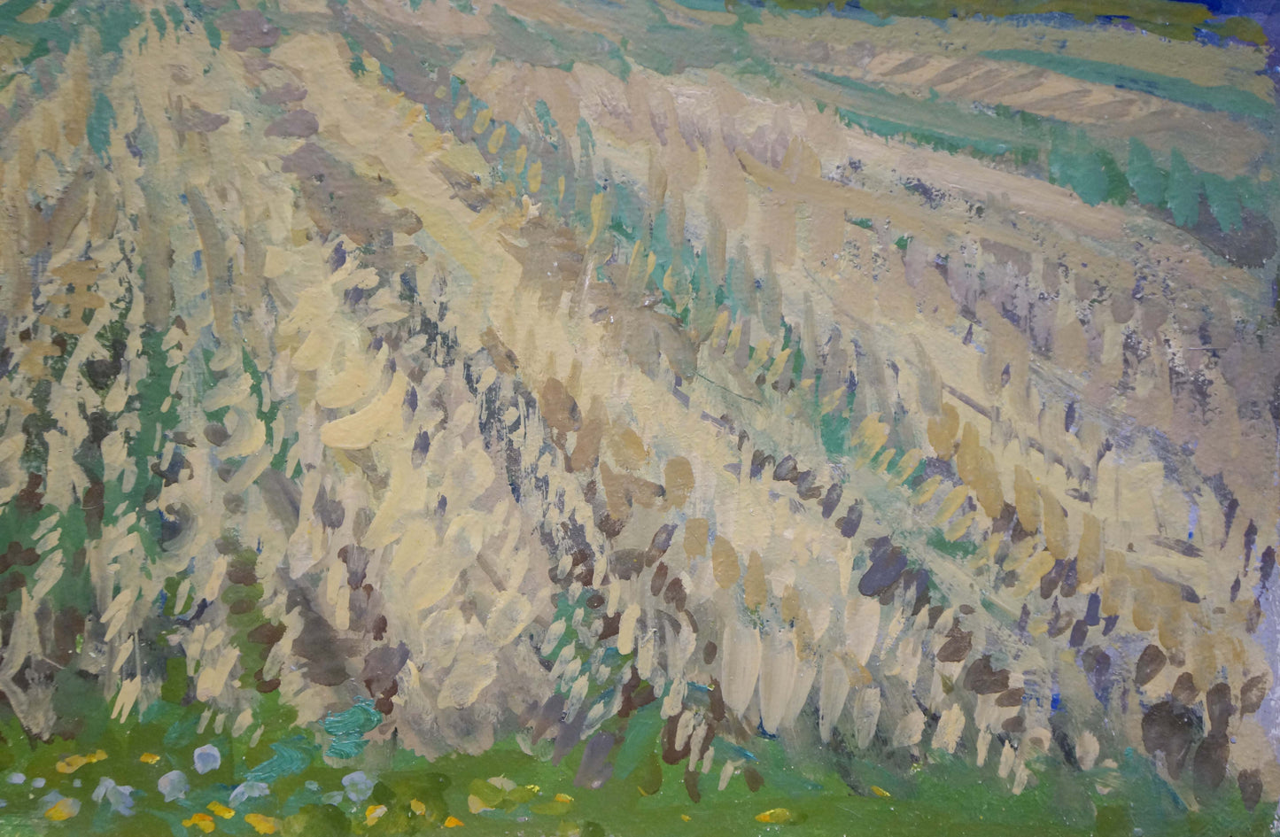 Oil painting Fields Ruban Grigory Savelievich