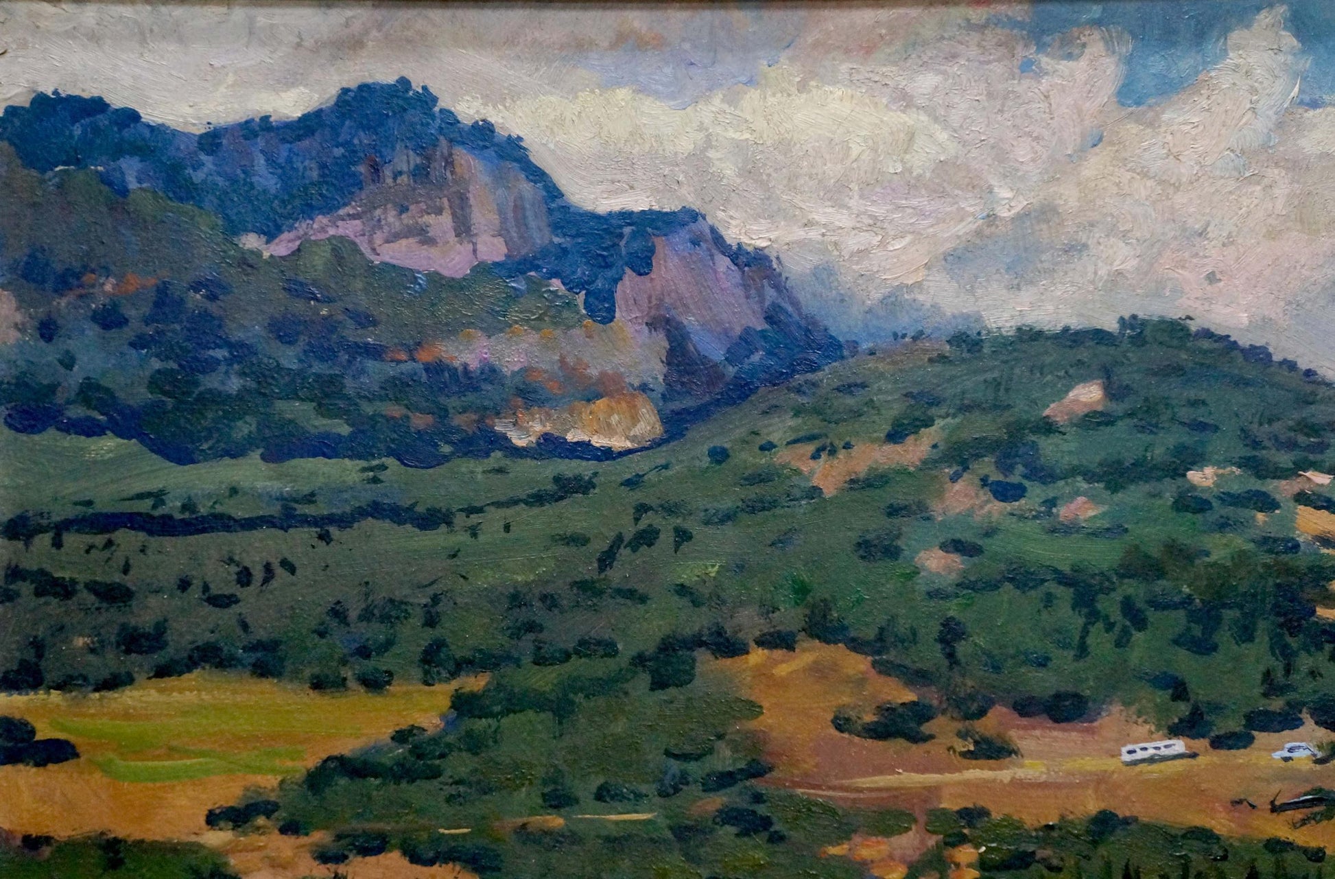 Forest Landscape: Oil Painting by N. Sheptukov