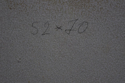 Oil painting After the rain I. Miroshnichenko