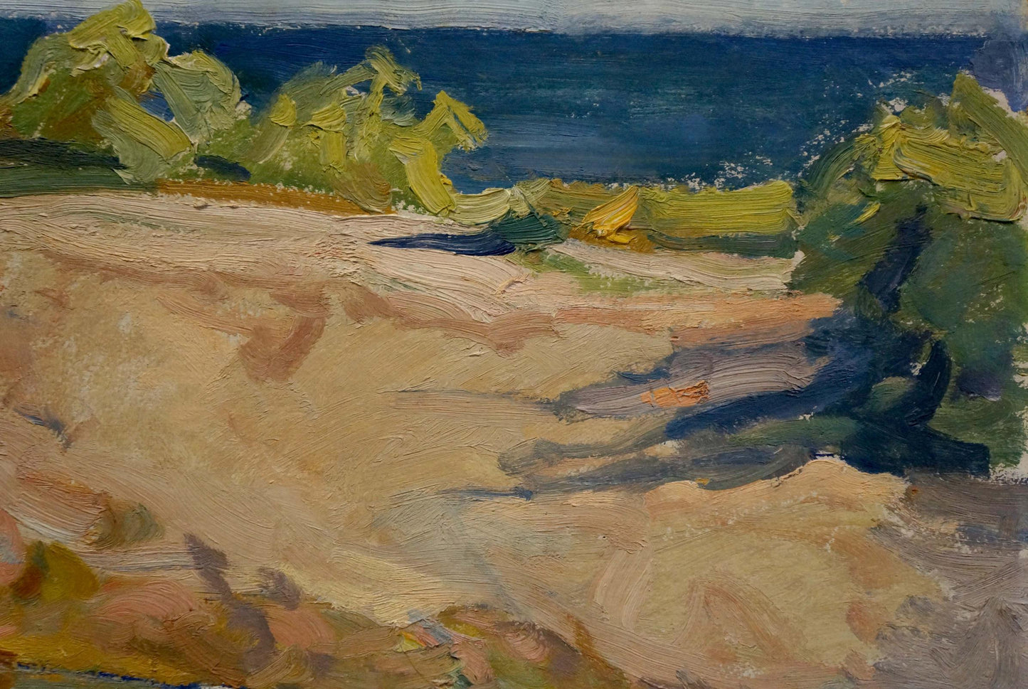 Oil painting Landscape Zaichenko Vasily Andrianovich