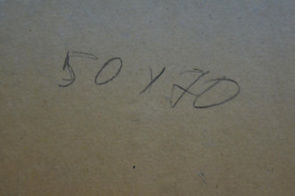 Oil painting Courtyard landscape Fomin Anatoly Nikiforovich