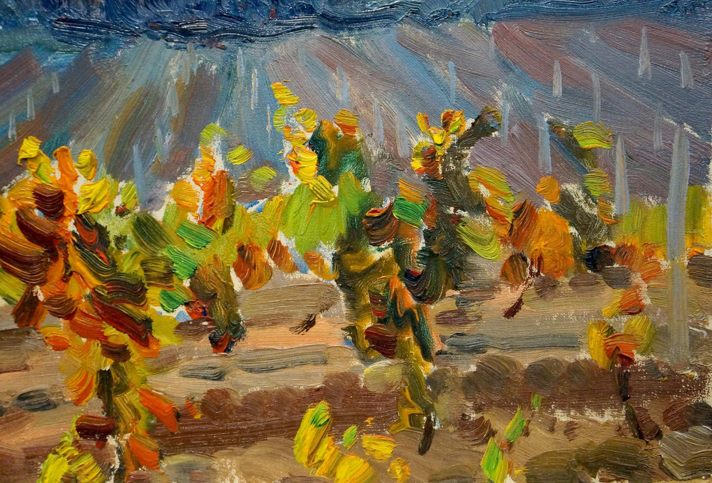 Oil painting Sunset on the vineyards Petr Kolomoitsev