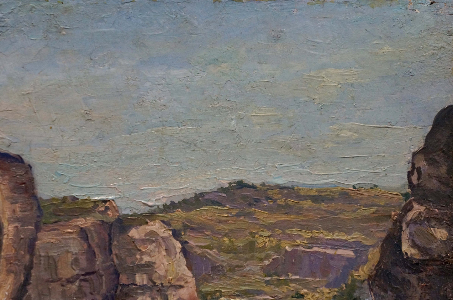 Oil painting Mountain canyon Elena Varnavovna Nagaevskaya
