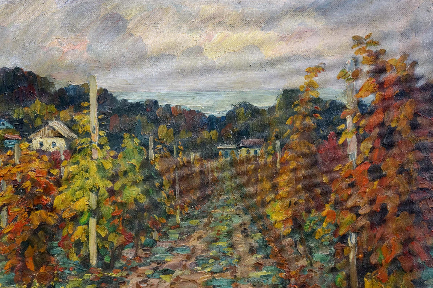 Oil painting Vineyards in the village Petr Kolomoitsev