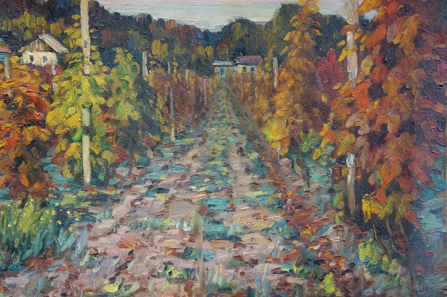 Oil painting Vineyards in the village Petr Kolomoitsev