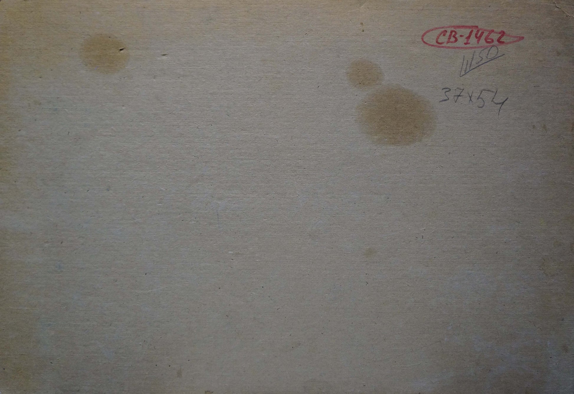 Oil depiction Sundown by Viktor Grigorievich Sevastyanov