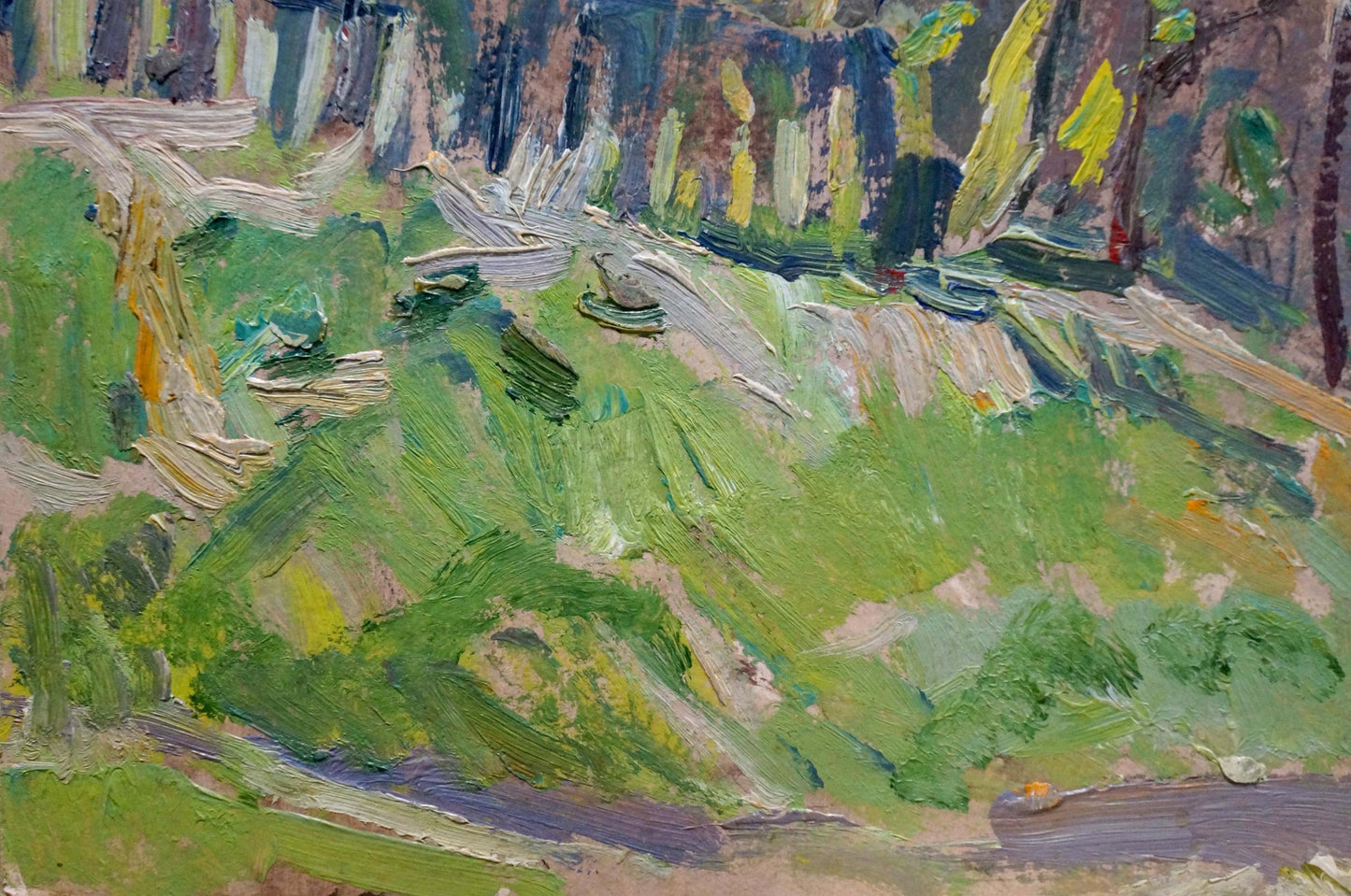 Oil painting House over the river Kokin Mikhail Alexandrovich