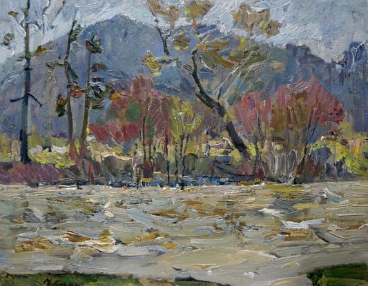 Oil painting Mountain river Kokin Mikhail Alexandrovich