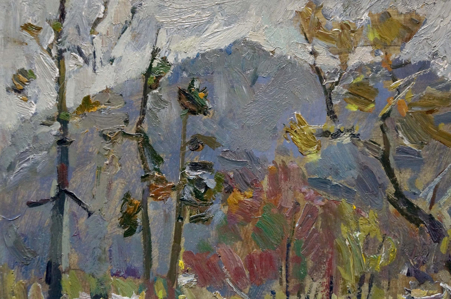 Oil painting Mountain river Kokin Mikhail Alexandrovich