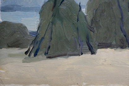 Oil painting Near the shore Pianida Boris Nikitich