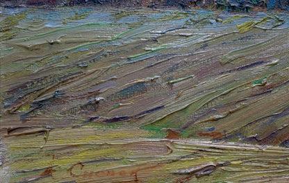 Oil painting After the rain Snopok A.N.