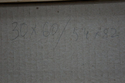 Oil painting After the rain Snopok A.N.