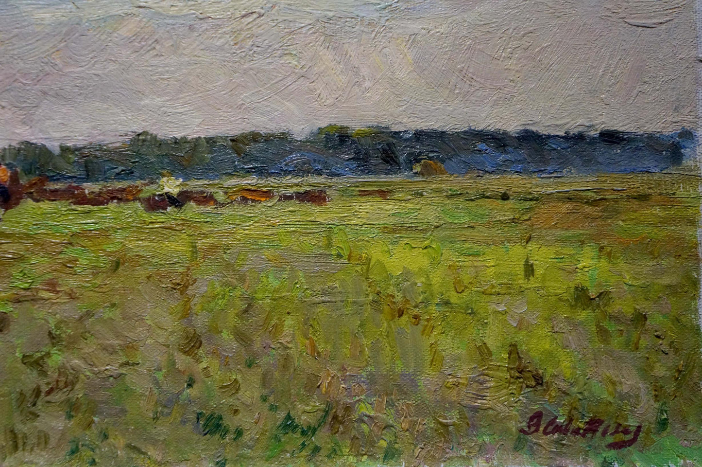 Oil painting In field Sevastyanov Viktor Grigorievich