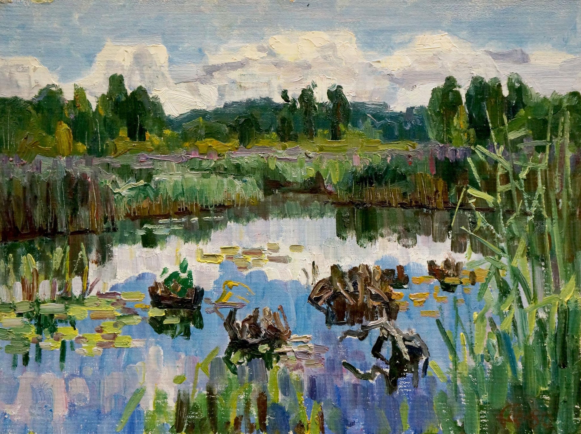 Natural Scenery oil painting, capturing serene landscape beauty.