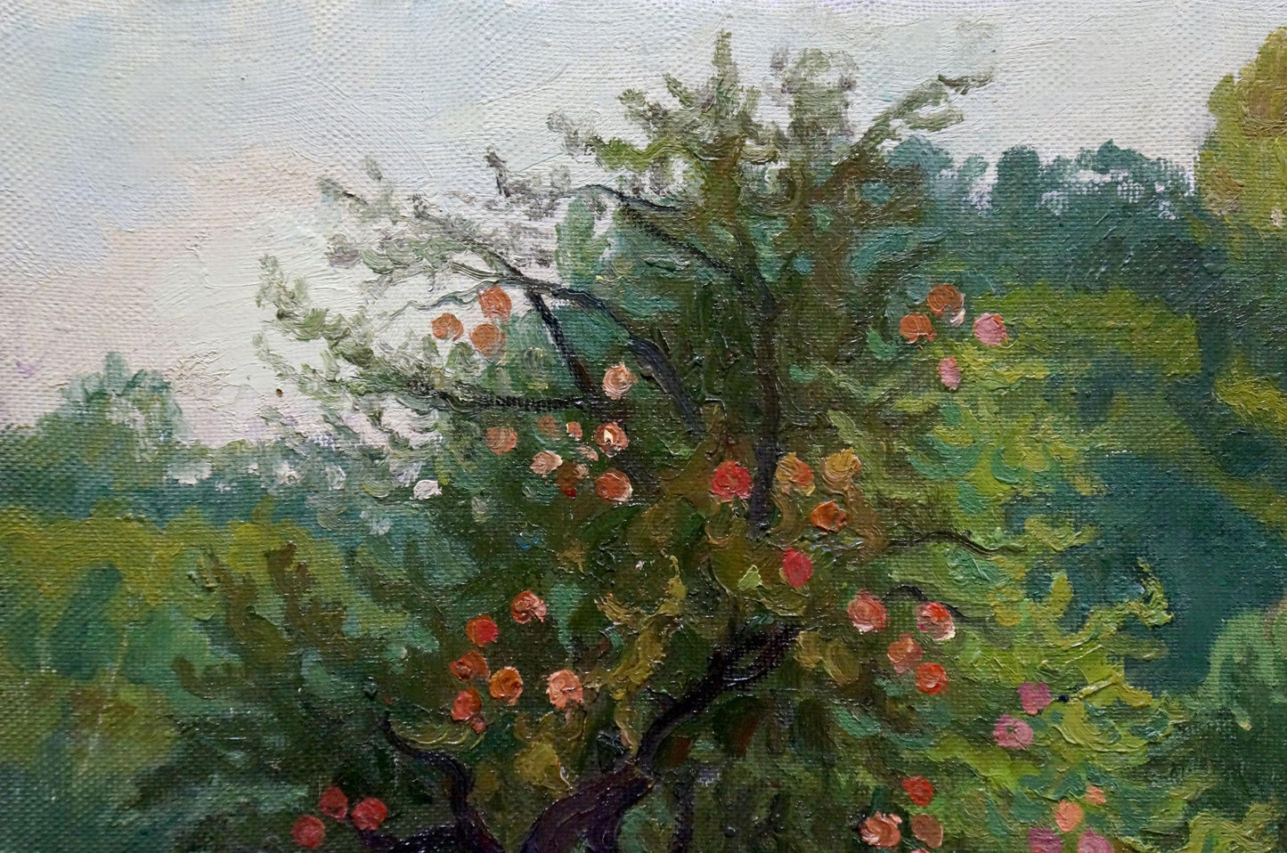 Oil painting Old apple tree Zorko Yuri Valentinovich