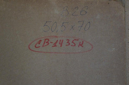 Oil painting Camp by the shore Sevastyanov Viktor Grigorievich