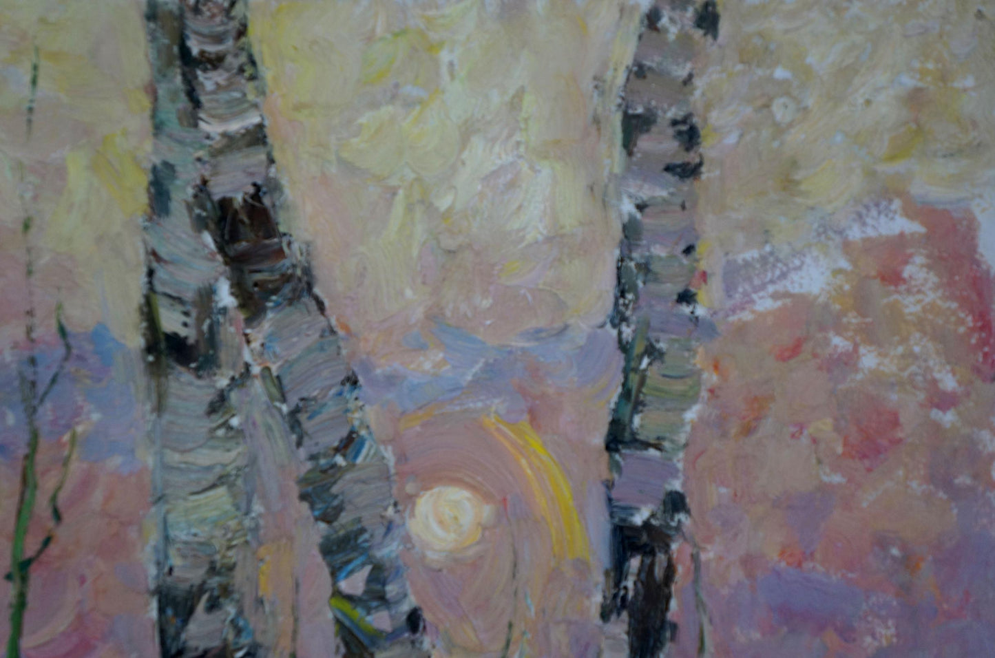 Oil painting Sunset through the birches Viktor Sevastyanov