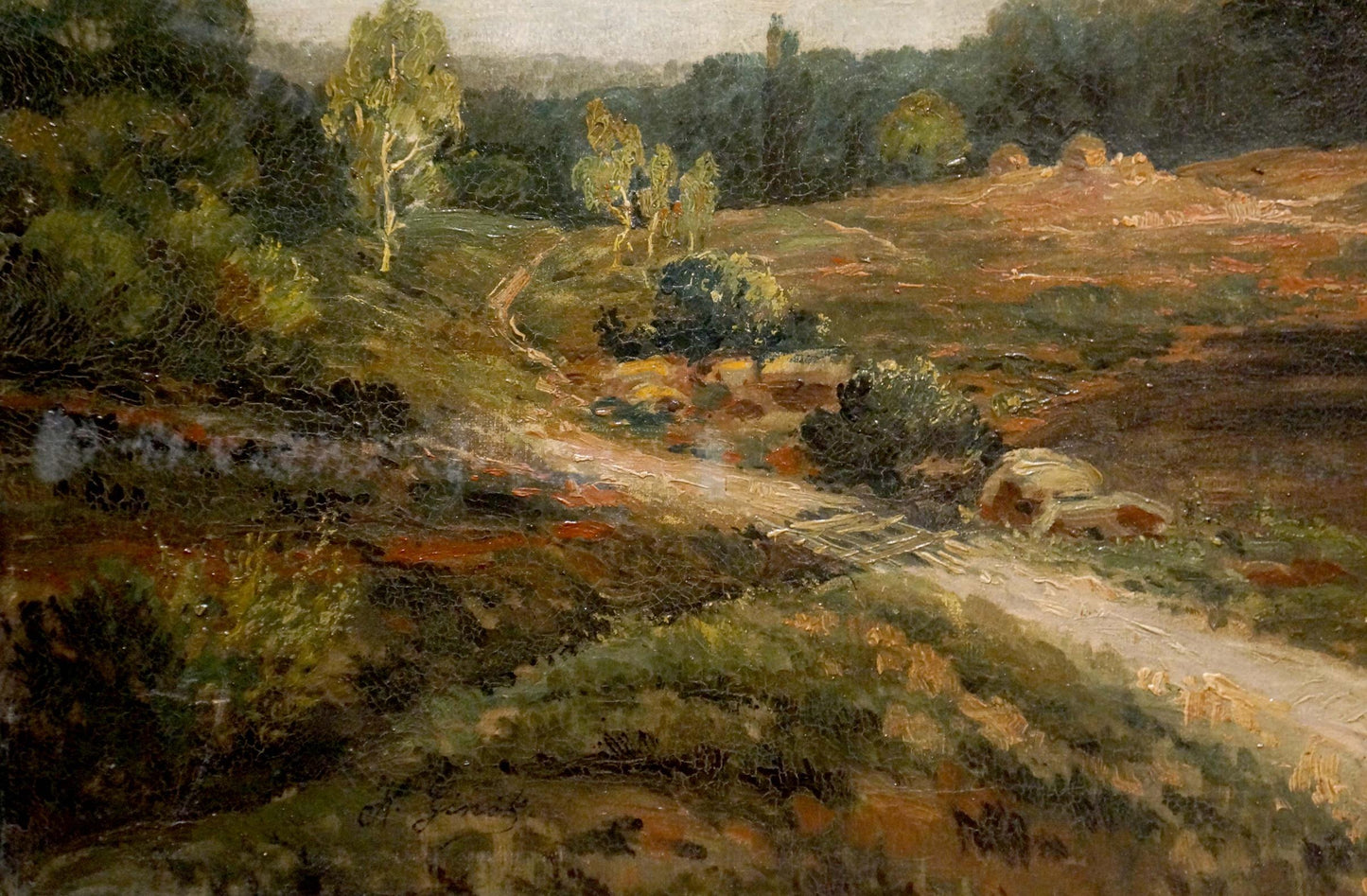 Oil painting Old forest