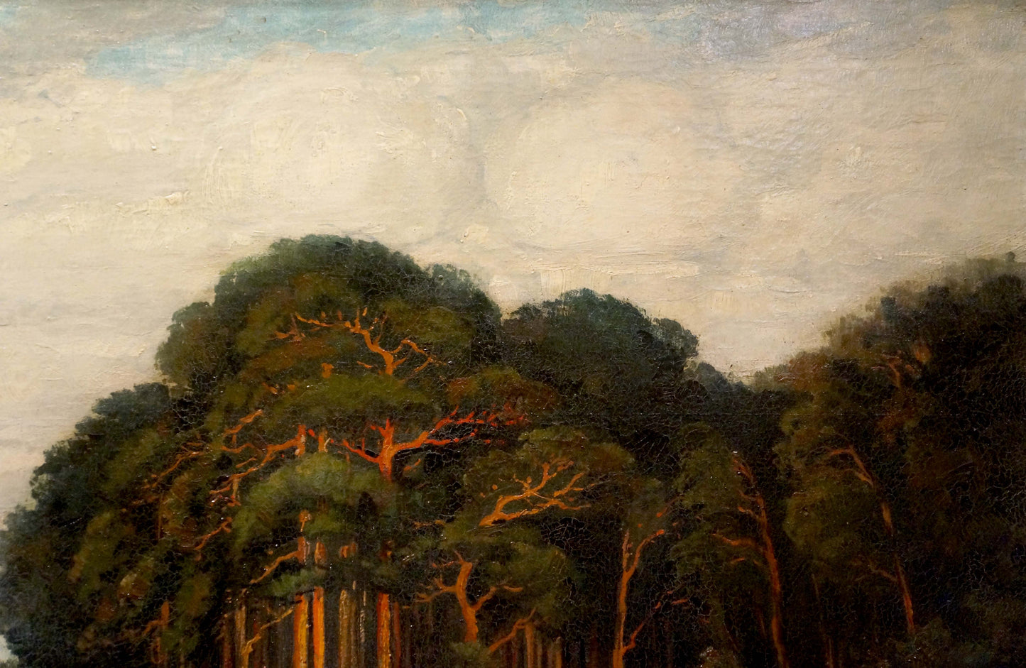 Oil painting Old forest