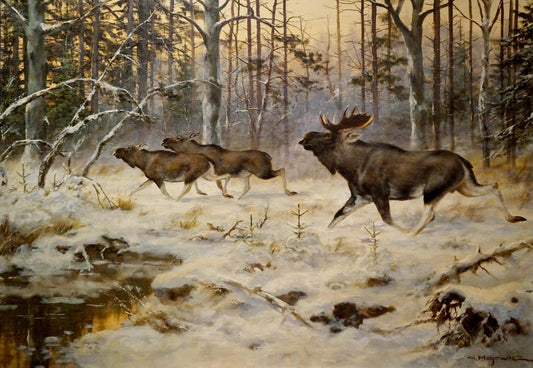 Oil painting Deer in the forest