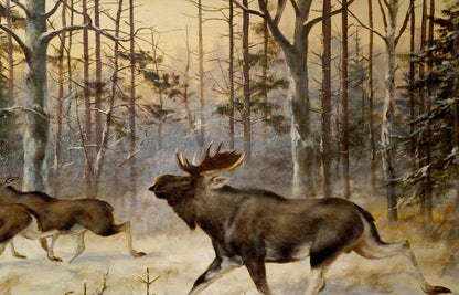 Oil painting Deer in the forest
