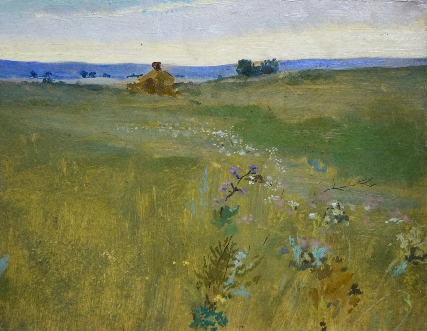 Oil painting Meadows Poltavetsky