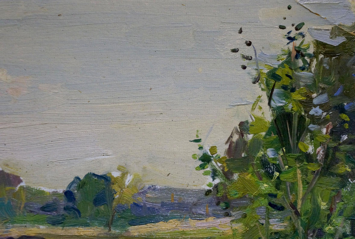 Oil painting Outdoors Buryachok Nikolay Ivanovich