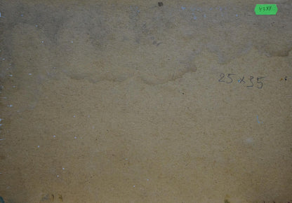 Oil painting After the rain Buryachok Nikolay Ivanovich