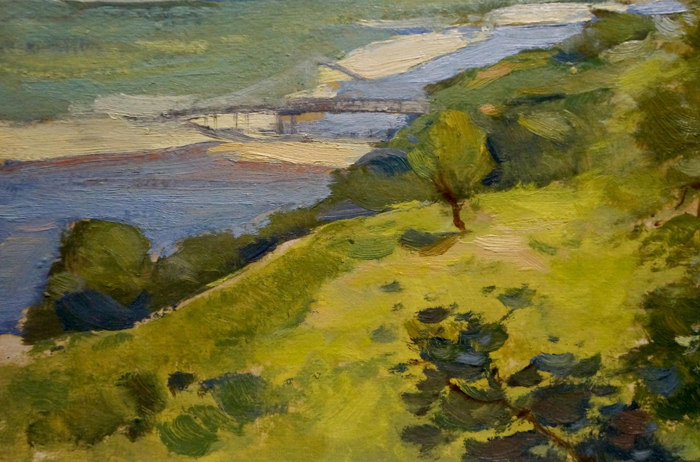 Oil painting Wonderful views Buryachok Nikolay Ivanovich