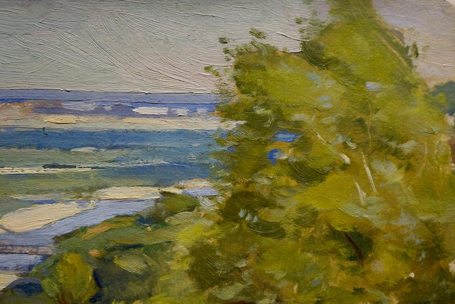 Oil painting Wonderful views Buryachok Nikolay Ivanovich