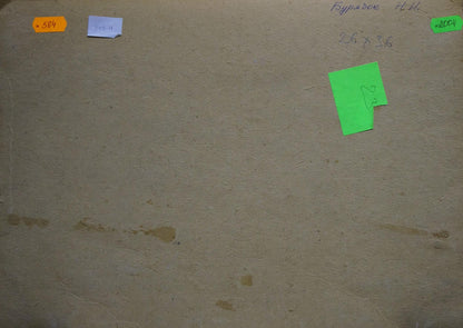 Oil painting Wonderful views Buryachok Nikolay Ivanovich