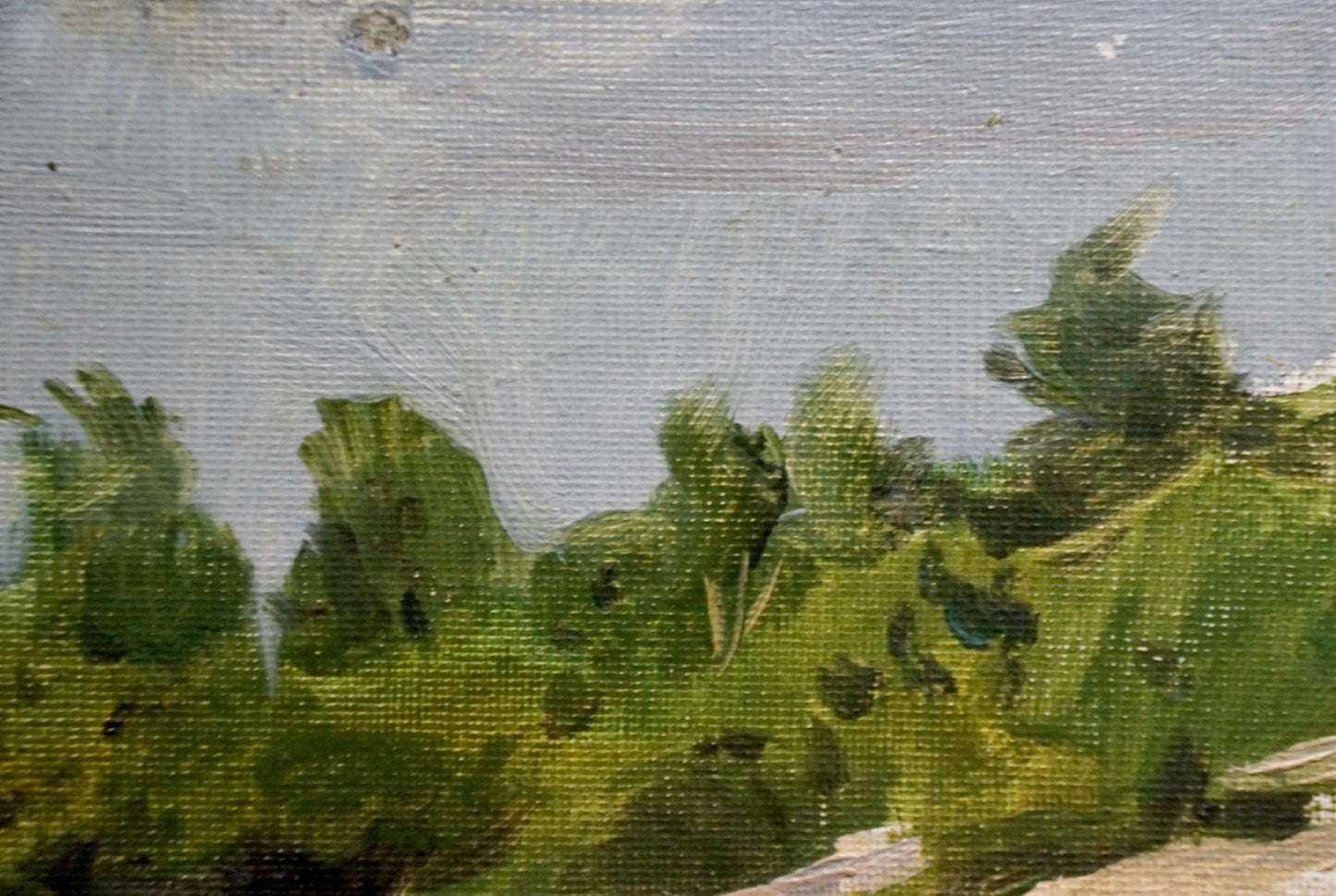 Oil painting On the shore Pyotr Alekseevich Alekseev