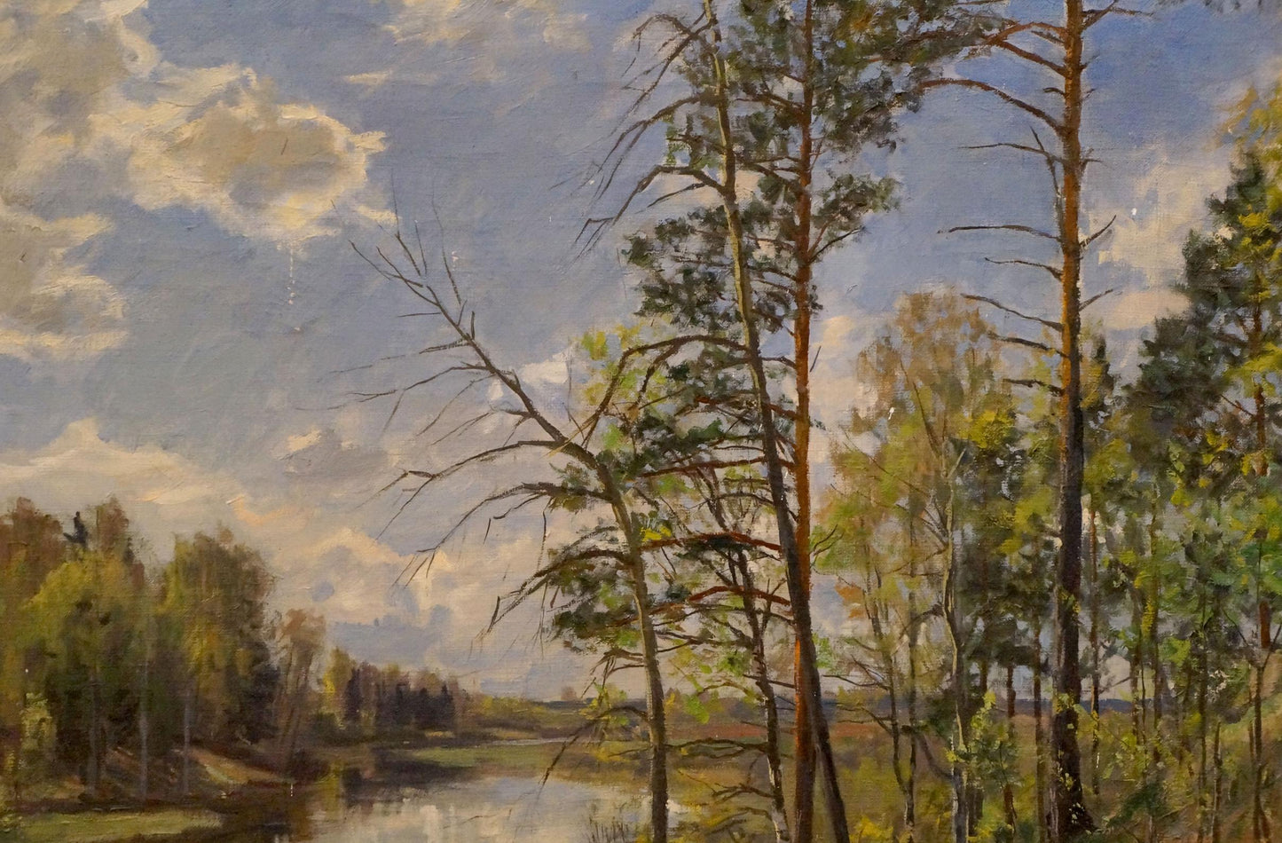 Oil painting Forest landscape Petrov Boris Stepanovich